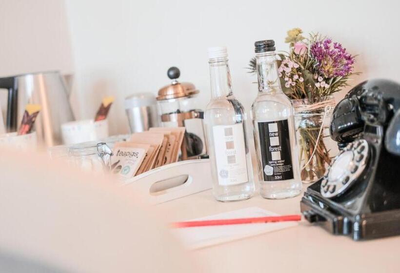 デラックスルーム, Swan