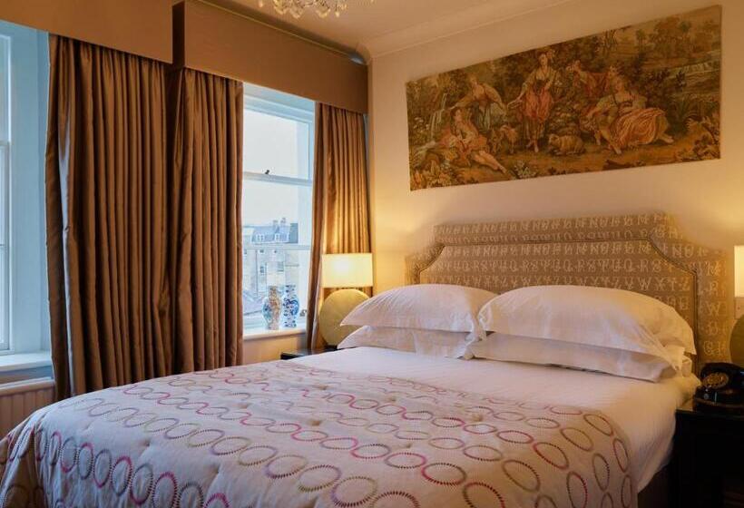 スタンダードルーム, The Bird Bath