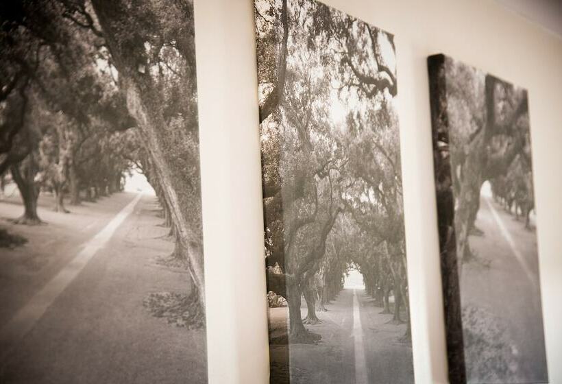 חדר סופריור, The Sharnbrook