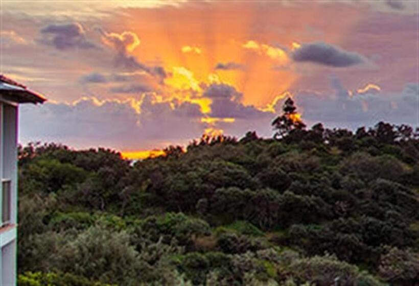 شقة دور أخير غرفة نوم واحدة, Whale Watch Ocean Beach Resort