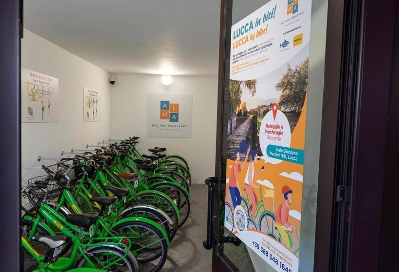 StandaardKamer, B&b Alma