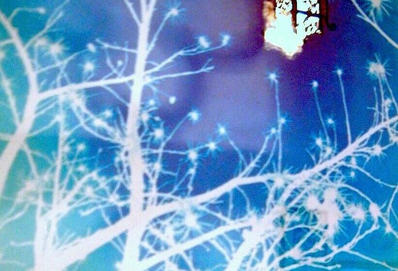 اتاق استاندارد یک تخته با سرویس بهداشتی مشترک, Cestelli