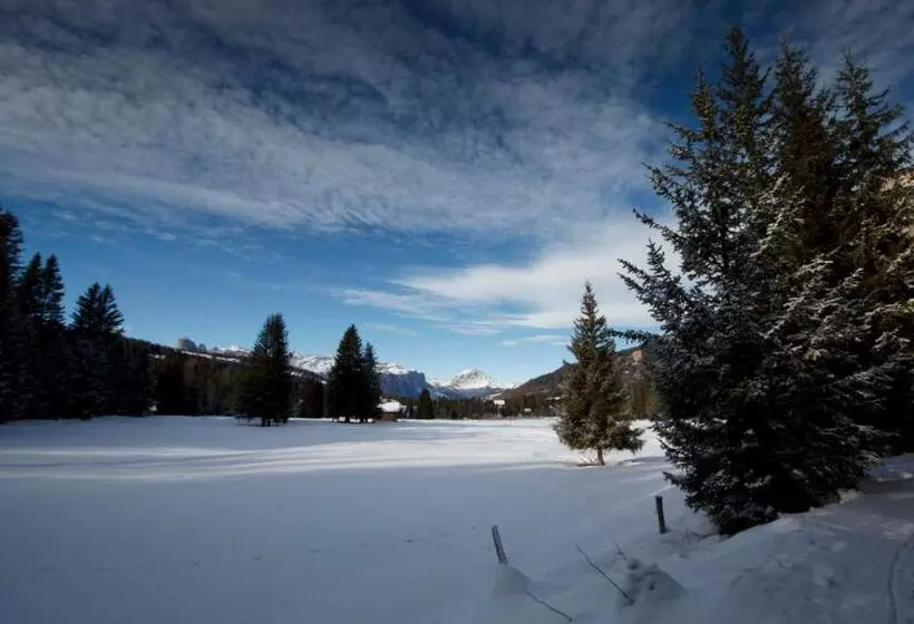 コンフォートルーム, Gran Paradiso