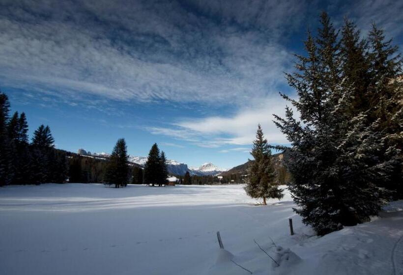 Люкс, Gran Paradiso