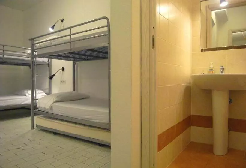تختخواب در اتاق مشترک, Hostel Colours