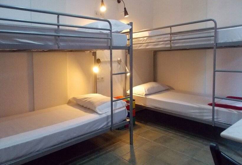 共用房间的床, Hostel Colours