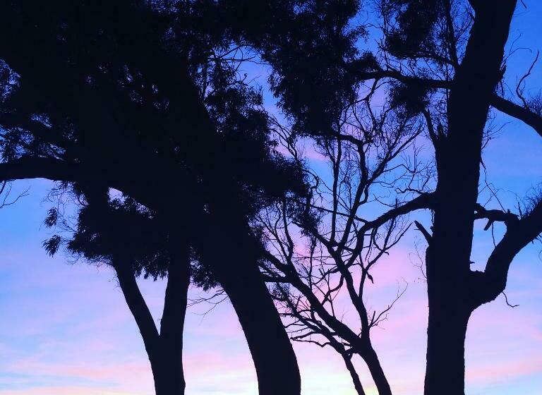 Номер Deluxe Вид на Сад, Villa Cetta B&b