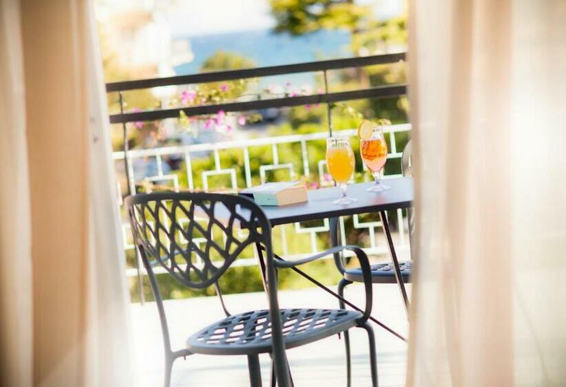 标准间带阳台, Virginia