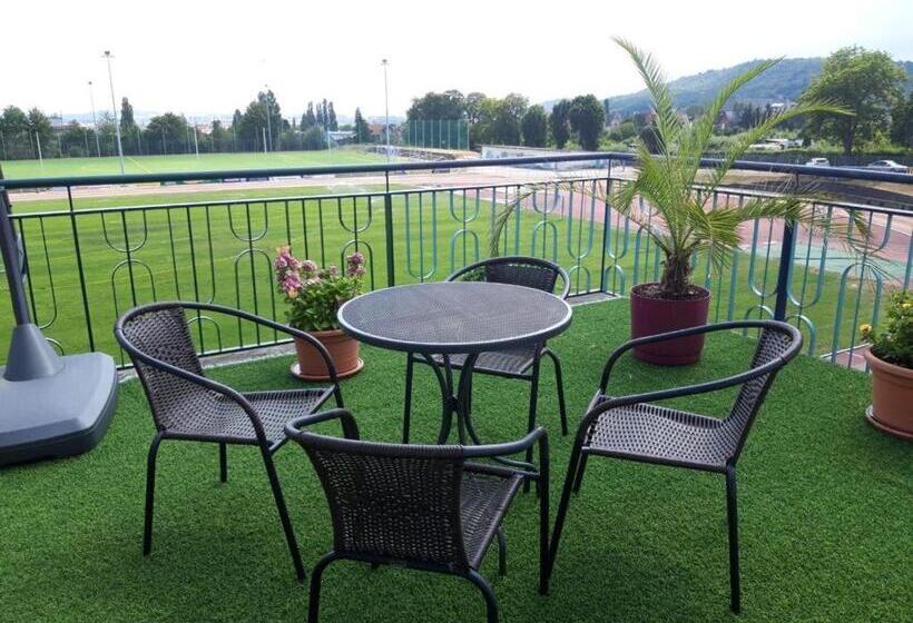 带阳台的标准单人间, Zum Sportforum