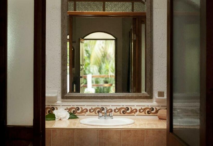 스탠다드 룸 더블 침대 2개, Eco Hotel El Rey Del Caribe