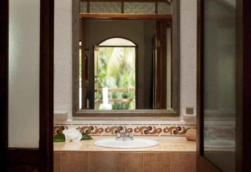 스탠다드 룸, Eco Hotel El Rey Del Caribe