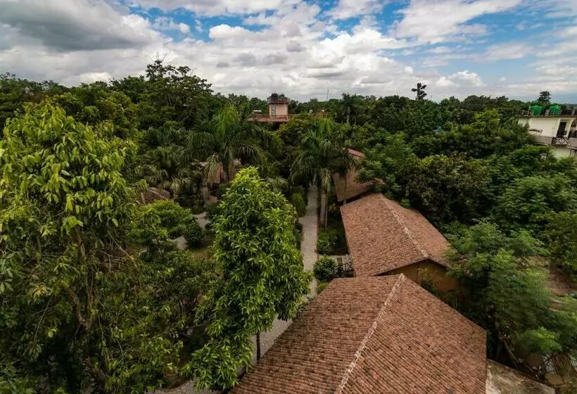 اتاق استاندارد با چشم‌انداز باغ, Eden Jungle Resort