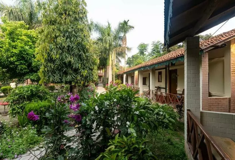 اتاق استاندارد با چشم‌انداز باغ, Eden Jungle Resort