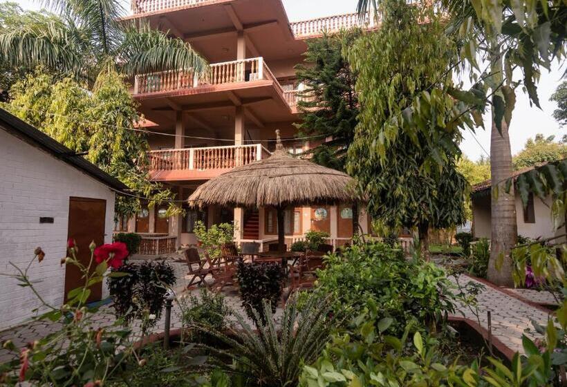 اتاق استاندارد, Eden Jungle Resort