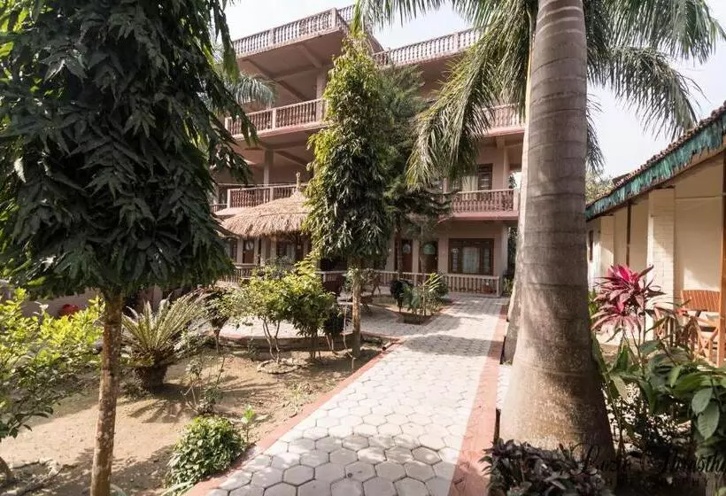 اتاق استاندارد, Eden Jungle Resort