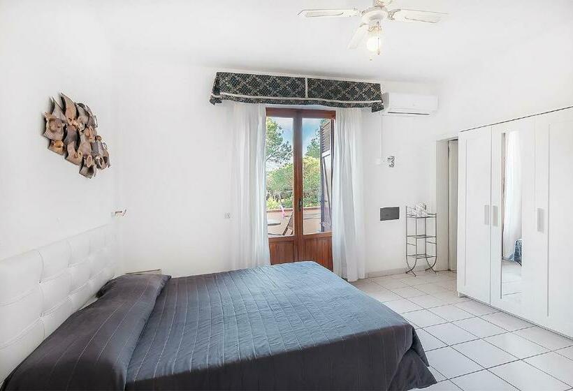 수피리어 룸, Giardino