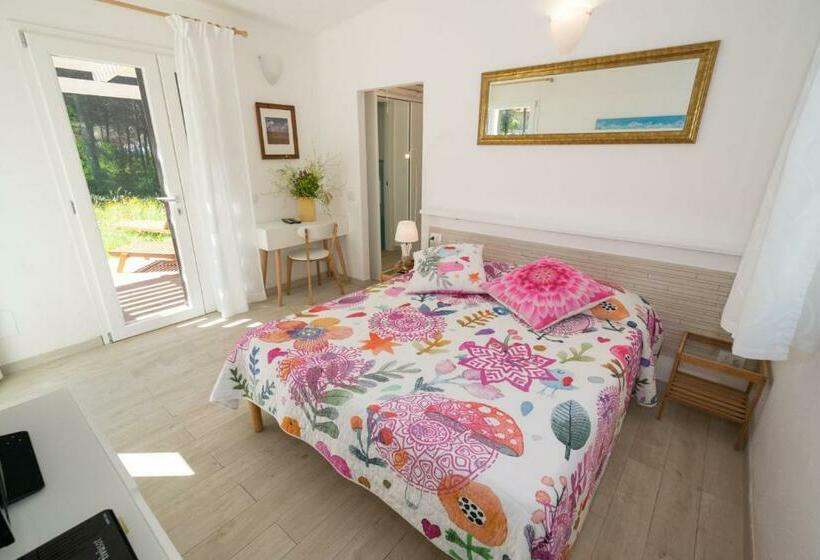 수피리어 룸, Giardino