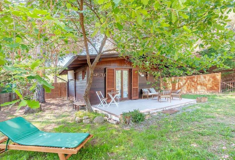 주니어 스위트, Giardino