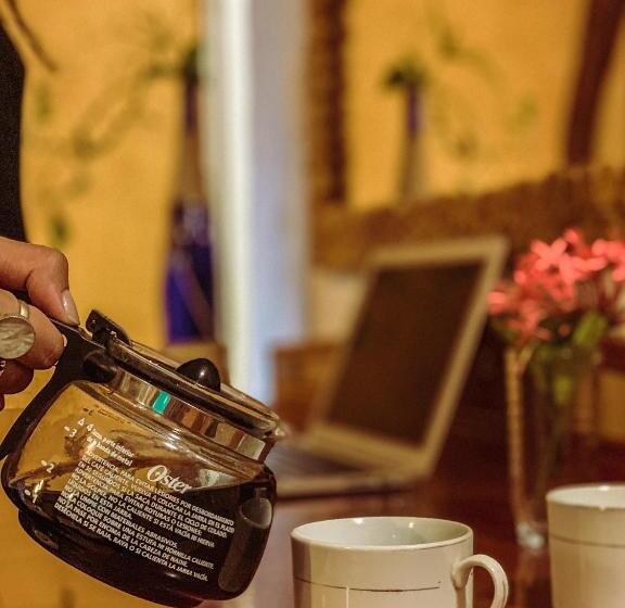 جناح جونيور, Golden Paradise Town