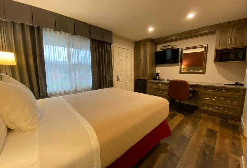Standardrum, Sahara Courtyard Inn Osoyoos