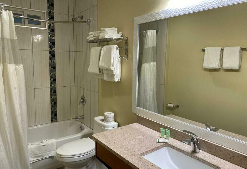 Deluxe Rum, Sahara Courtyard Inn Osoyoos