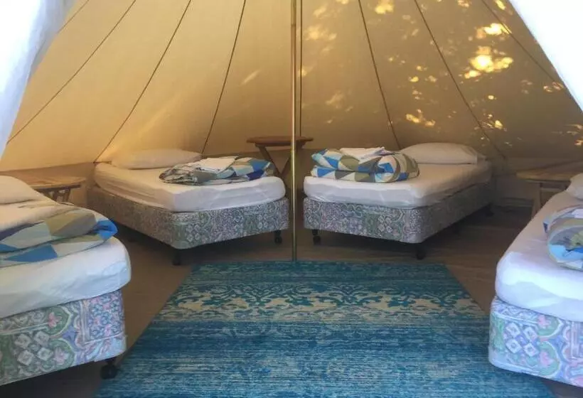ルームシェアのワンベッド, Te Anau Lakefront Backpackers