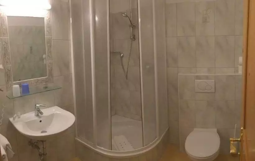 Standard-huone Parveke, Panoramahotel Burgeck
