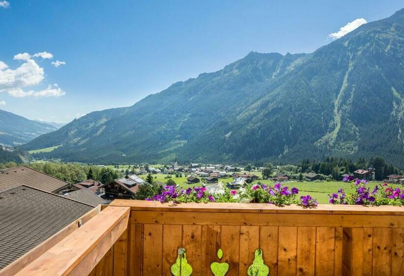 스탠다드 발코니 룸, Panoramahotel Burgeck