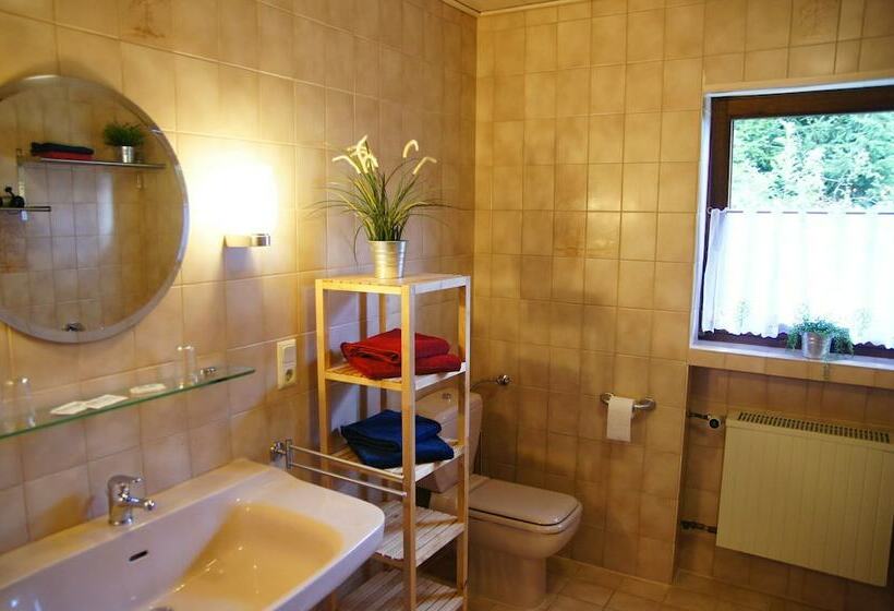 Номер Стандарт Индивидуальный, Gasthof Schumacher Hotel Garni