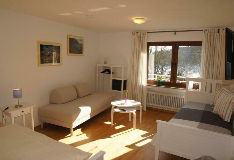 Апартаменты 1 Спальня с Балконом, Gasthof Schumacher Hotel Garni