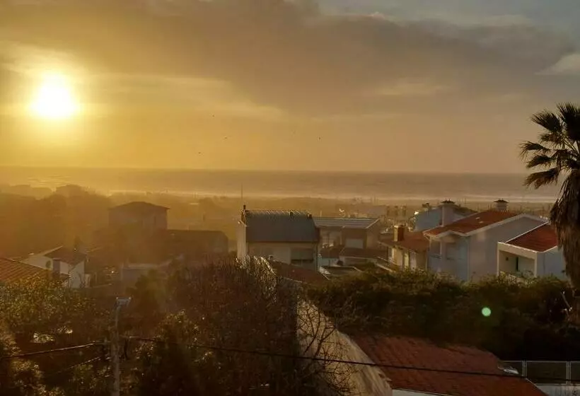 اتاق استاندارد یک نفره با چشم‌انداز دریا, Monte Lirio