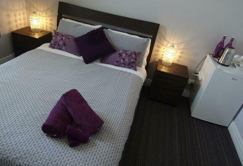 スーペリアールーム, 1849 Backpackers Albany