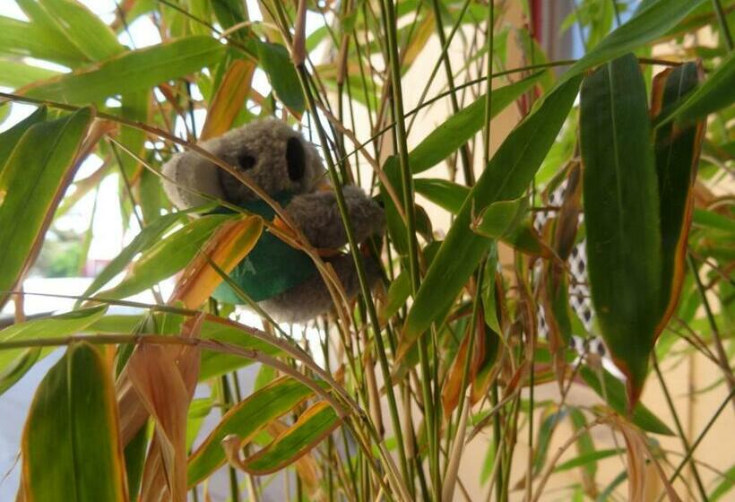 スーペリアールーム, 1849 Backpackers Albany