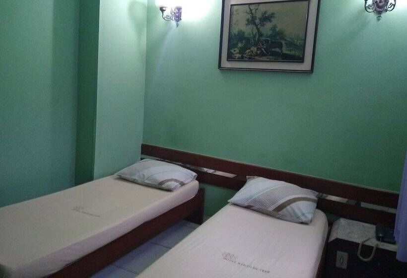 اتاق استاندارد, Barão De Tefé