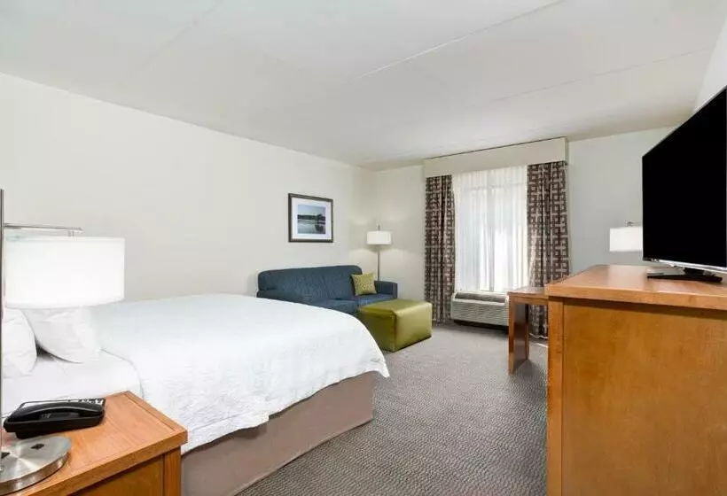 キングサイズベッドのスタンダードルーム, Hampton Inn & Suites Manchester