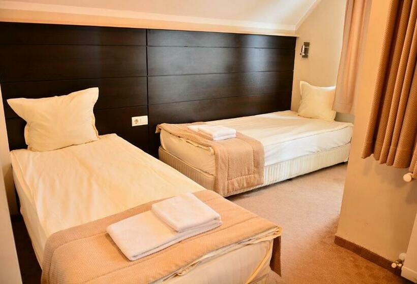 Люкс Дюплекс, Olymp