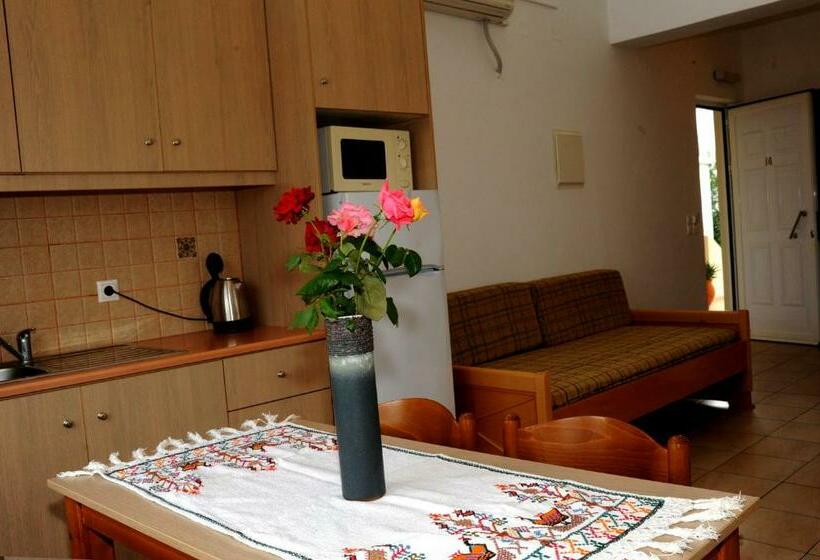 דירת חדר, Evilion