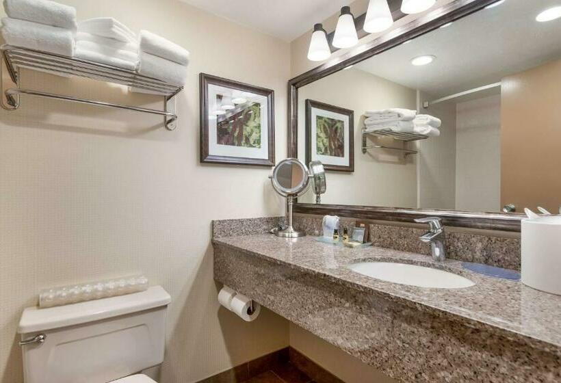 标准间, Best Western Plus Cedar City