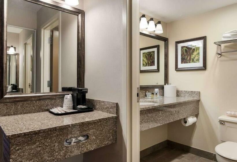 带大床的标准间, Best Western Plus Cedar City