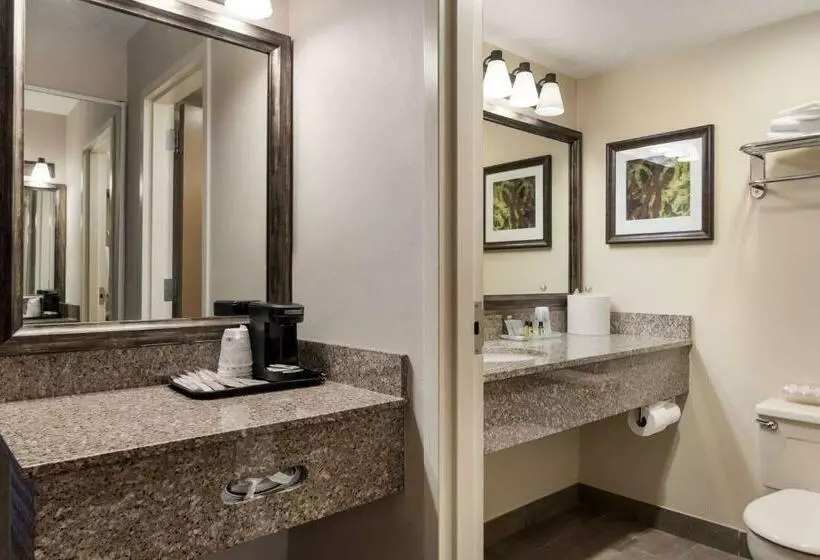 キングサイズベッドのスタンダードルーム, Best Western Plus Cedar City