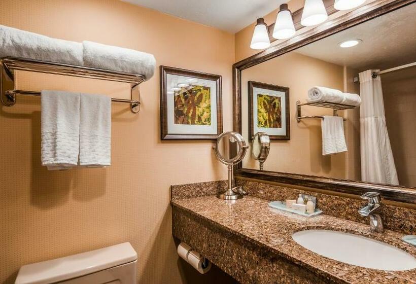 标准间, Best Western Plus Cedar City