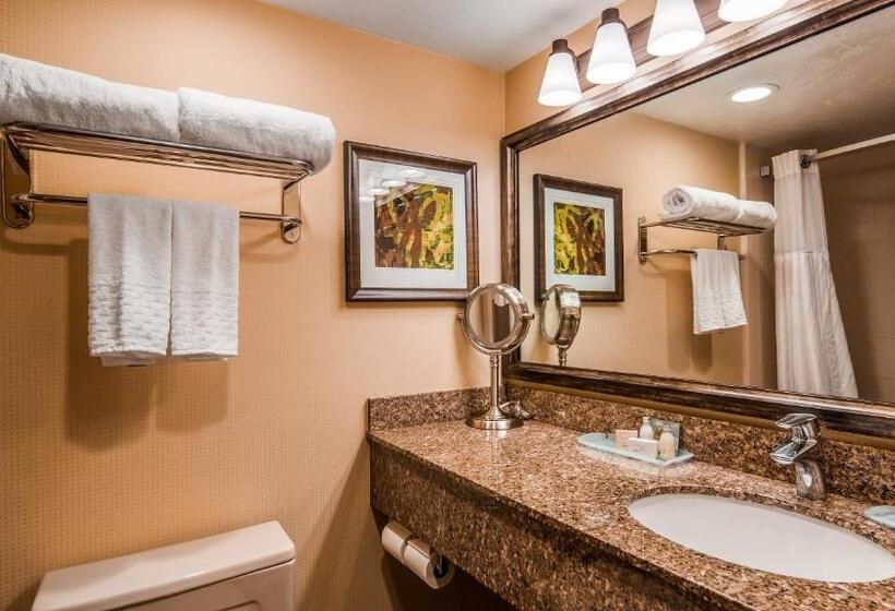 带大床的标准间, Best Western Plus Cedar City