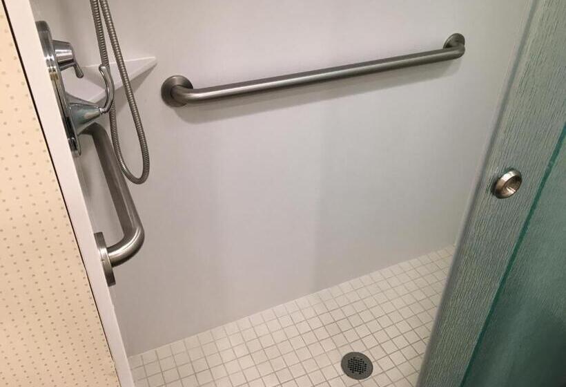 带大床的标准间, Best Western Plus Cedar City