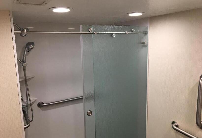 带大床的标准间, Best Western Plus Cedar City