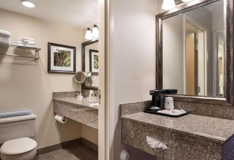 Стандартный Номер Кровать Кинг, Best Western Plus Cedar City