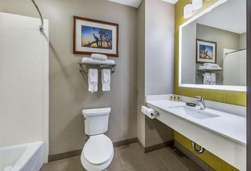Номер Стандарт, Best Western Plus Taft Inn