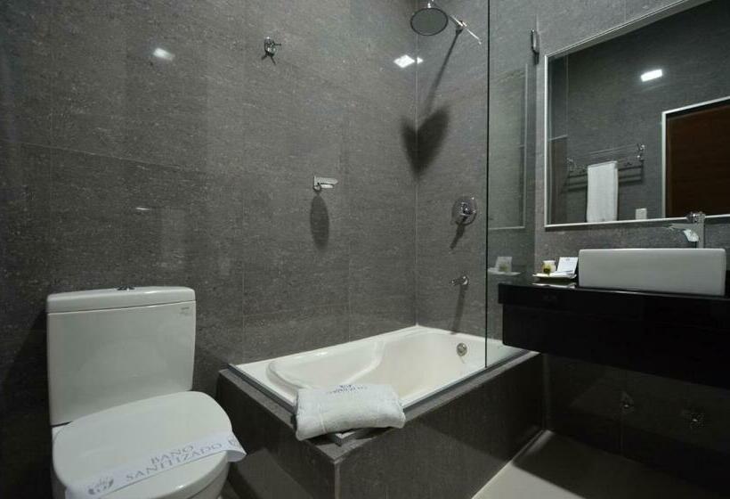 Pokój Standard Jednoosobowy, Camino Plaza