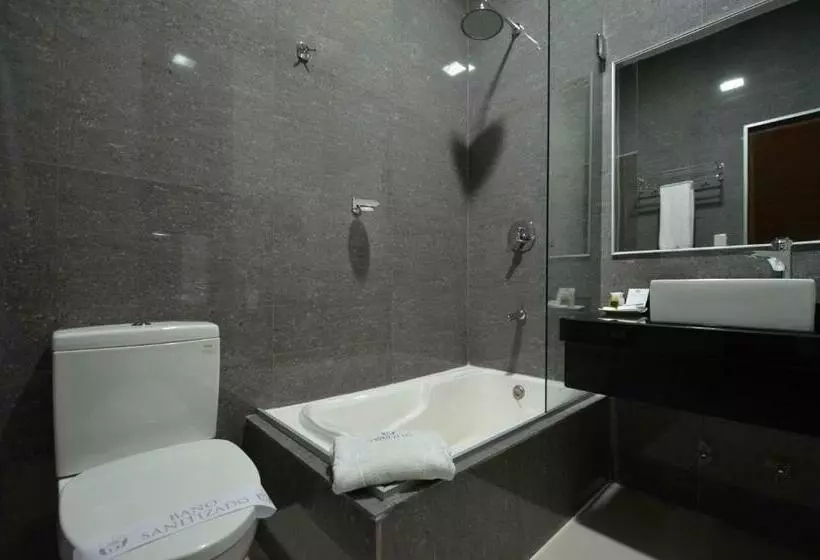 اتاق استاندارد یک نفره, Camino Plaza