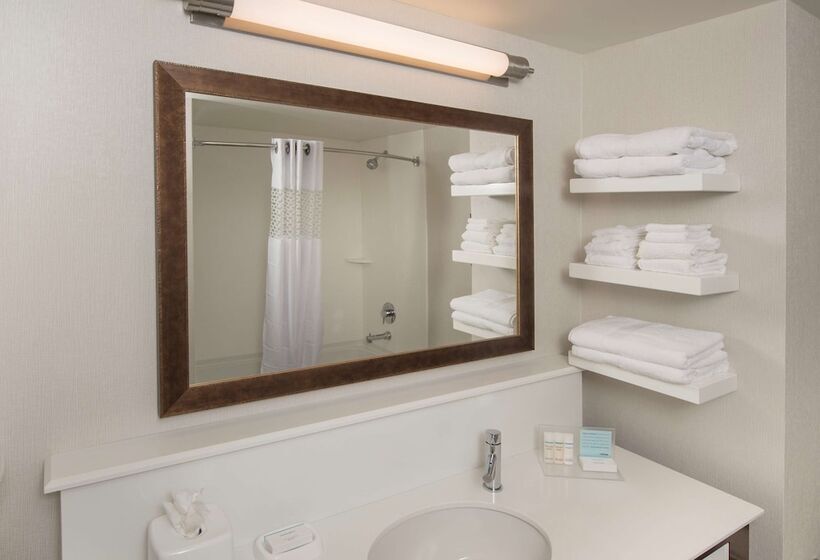 Номер Стандарт 2 Двуспальные Кровати, Hampton Inn & Suites Braselton