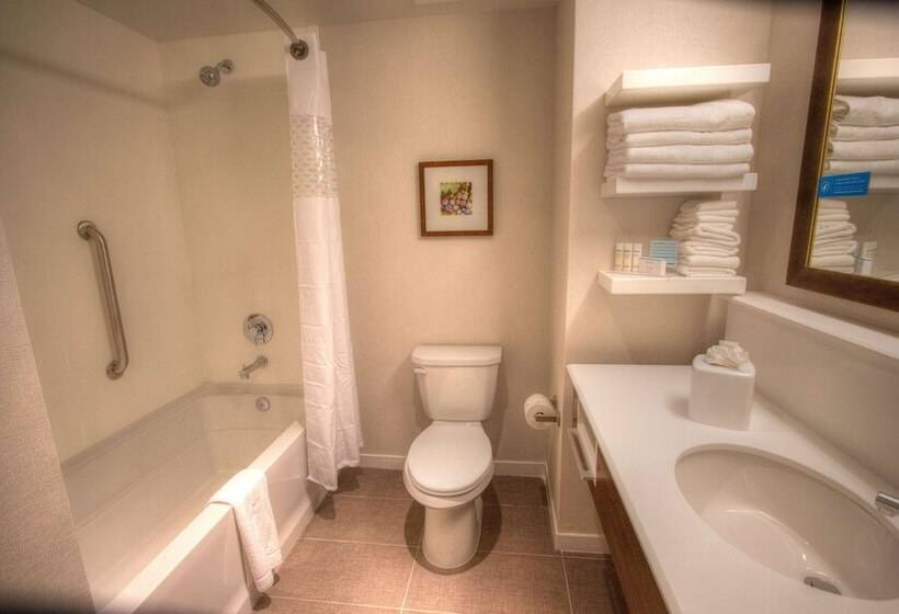 غرفه قياسيه سريرين مزدوجين, Hampton Inn & Suites Braselton